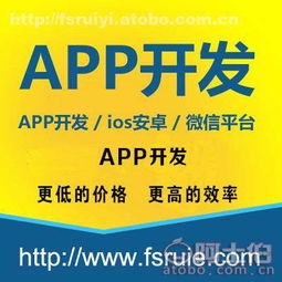 app开发 大图